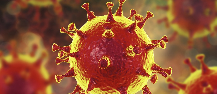 Leia mais sobre o artigo Acre tem mais 6 mortos e 325 novos casos confirmados de coronavírus
