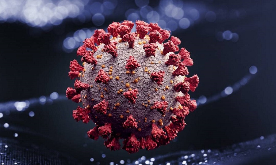 Leia mais sobre o artigo Acre registra 1 morte e 279 novos casos de coronavírus nesta quarta-feira (22)