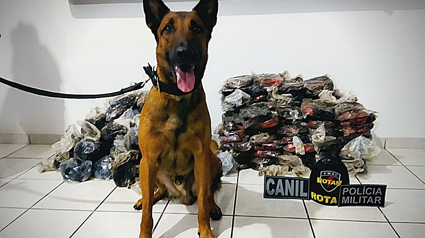 Leia mais sobre o artigo PM apreende 150 kg de drogas em sacas de farinha; 7 foram presos