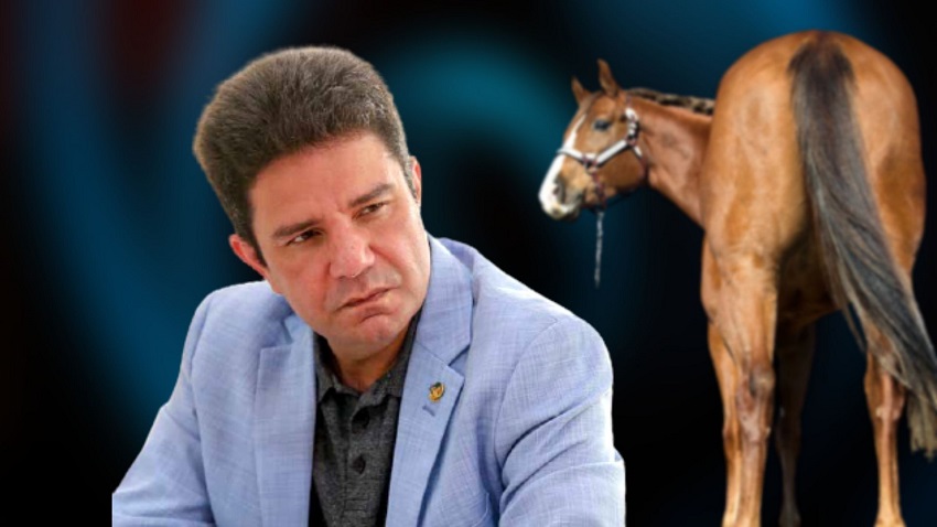 Read more about the article O bolo e o rabo do cavalo, duas metáforas da ‘era Gladson Cameli’