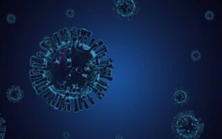 Langya: novo vírus já contaminou 35 pessoas na China