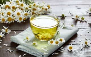 12 plantas medicinais para utilizar em chás