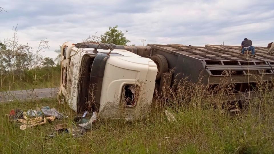 Leia mais sobre o artigo Carreta que saiu do Acre com destino a RO tomba com 100 bezerros na BR-364