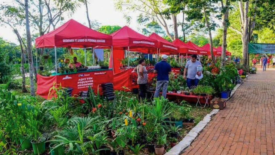 Leia mais sobre o artigo Ecoflores será lançada nesta sexta-feira, 23, no Horto Florestal