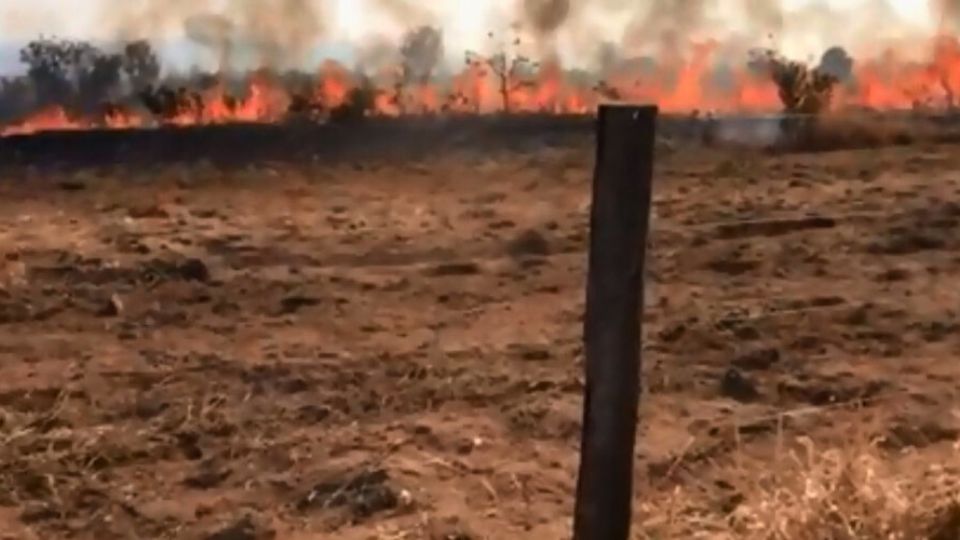 Leia mais sobre o artigo Produtor rural morre ao tentar conter incêndio em sua propriedade