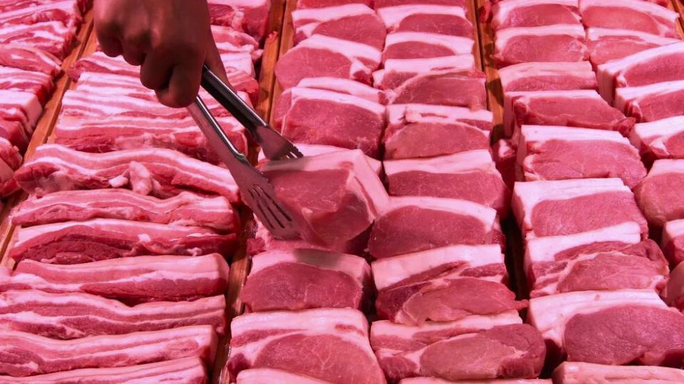 Leia mais sobre o artigo Acre poderá exportar carne de porco para a República Dominicana