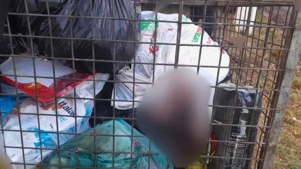 Leia mais sobre o artigo Bebê é encontrado morto em lixeira de condomínio no Acre