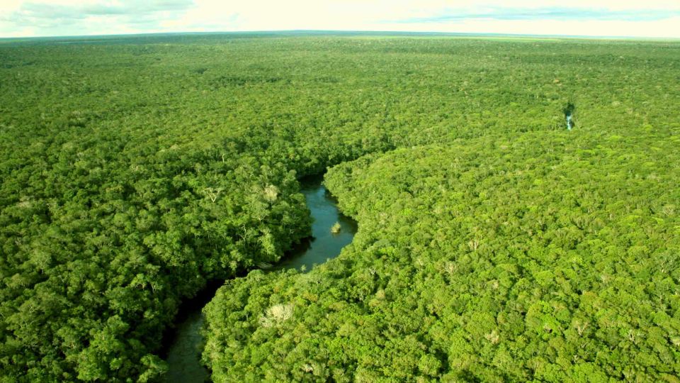 Leia mais sobre o artigo Invasão de terra no Acre pode chegar ao tamanho da Holanda