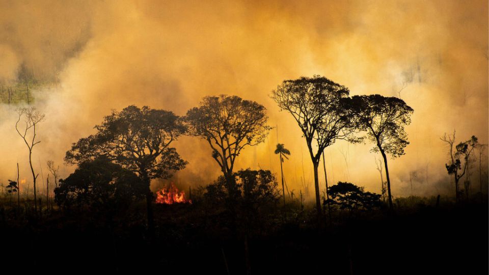 Leia mais sobre o artigo Focos de calor no Acre aumentam 53% devido à escassez de chuvas