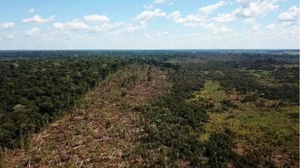 Leia mais sobre o artigo Desmatamento atinge níveis críticos em Rio Branco, segundo o Inpe