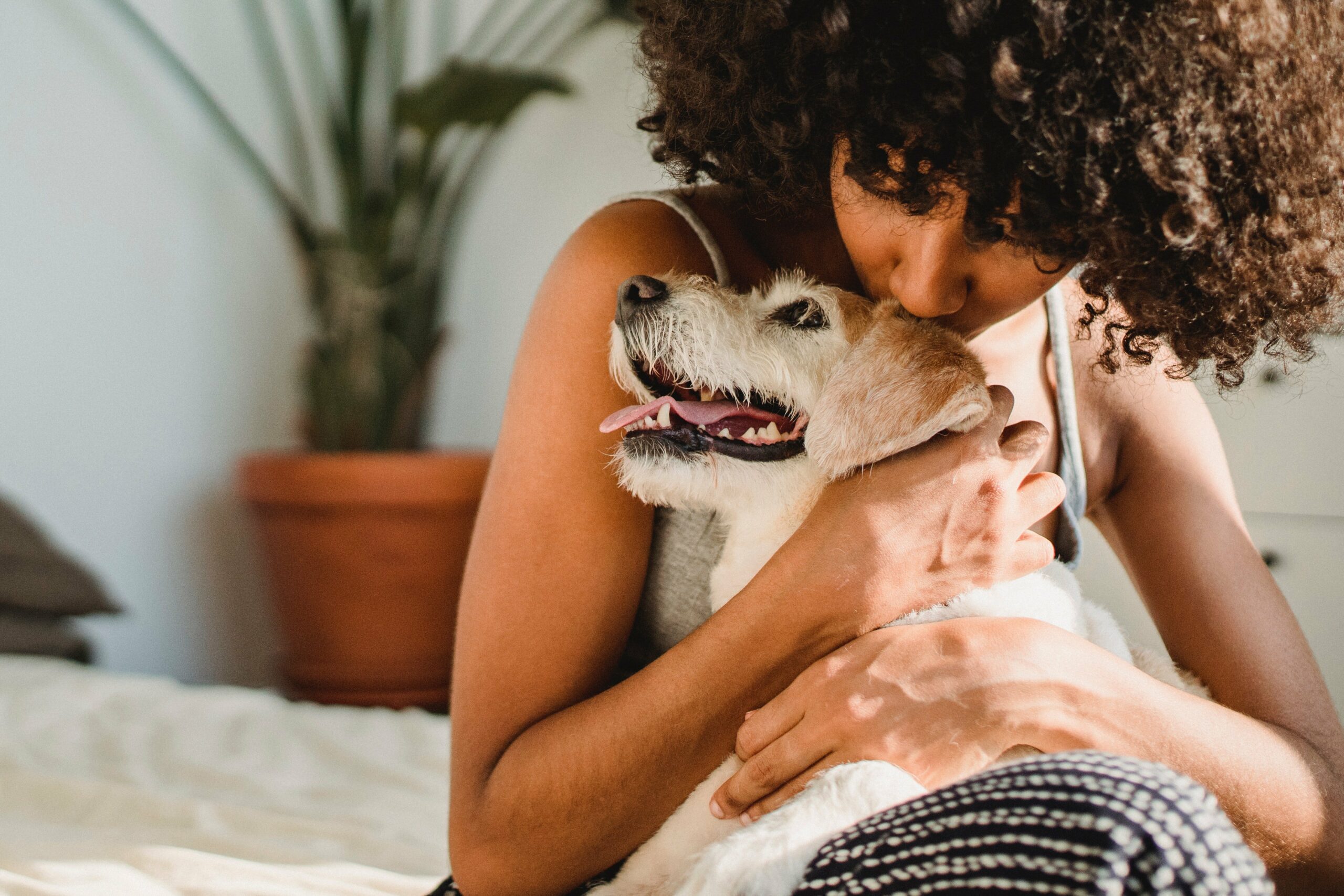 Leia mais sobre o artigo Governo publica legislação sobre animais domésticos em condomínios no Acre