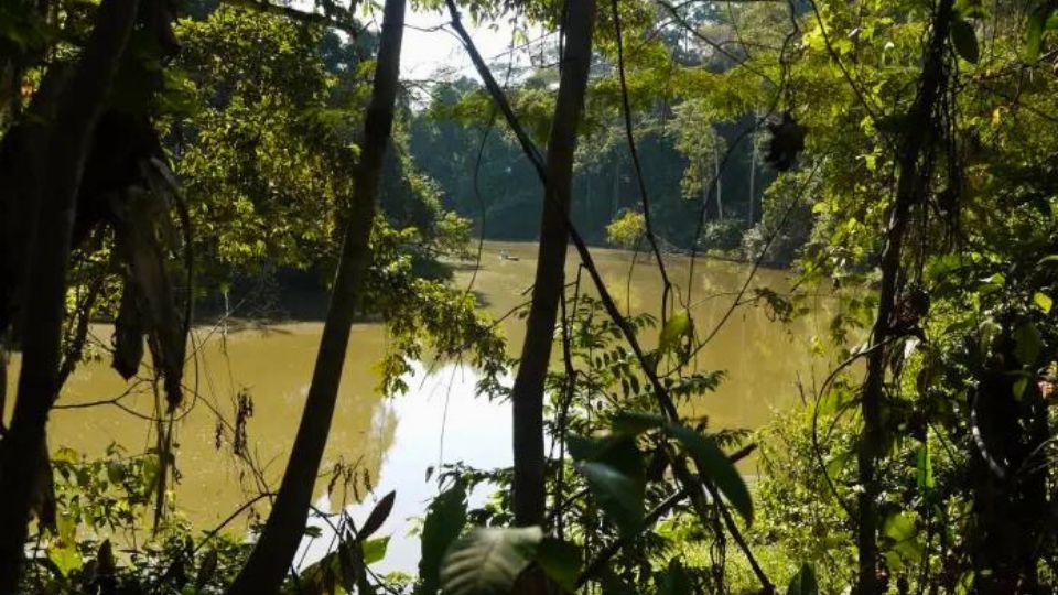Leia mais sobre o artigo Homem é morto por amigo durante caçada no interior do Acre