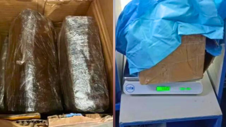 Leia mais sobre o artigo Polícia apreende 5 kg de skunk em ‘encomenda’ que saiu do Acre para o Ceará
