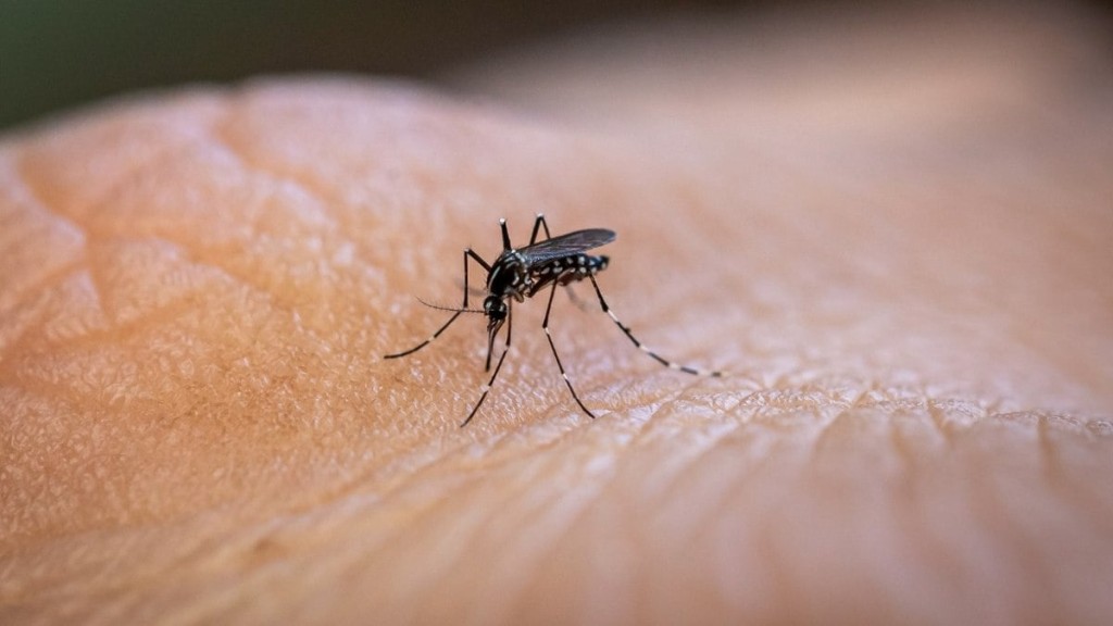 Leia mais sobre o artigo Rio Branco concentra 61% dos casos de dengue no Acre em 2026