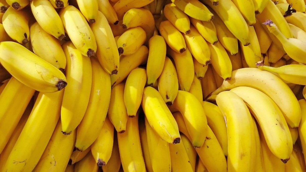 Leia mais sobre o artigo Banana lidera aumento da cesta básica em Rio Branco