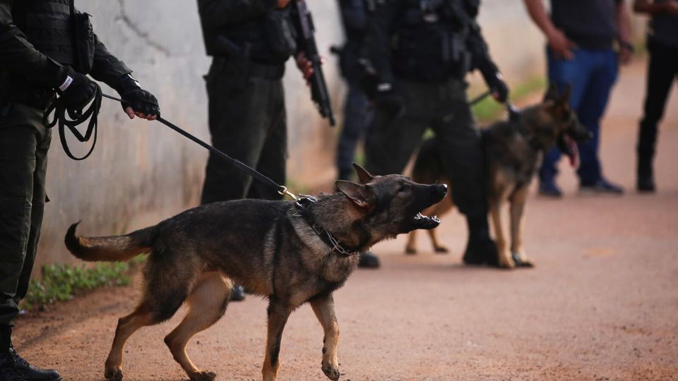 Leia mais sobre o artigo Megaoperação no maior presídio do Acre tem apoio da Abin e PF