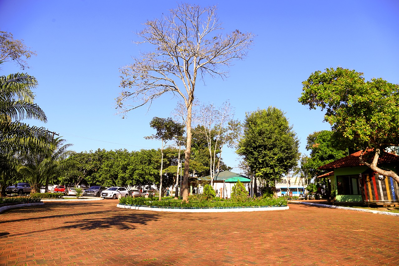 Leia mais sobre o artigo Parque Chico Mendes recebe selo internacional de destinação sustentável