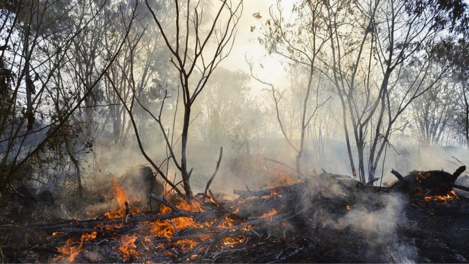 Leia mais sobre o artigo Acre contribui com ‘corredor de fumaça’ que se espalha pelo Brasil