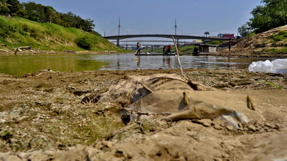 Leia mais sobre o artigo Rio Acre segue baixando na capital apesar de chuvas no Alto Acre