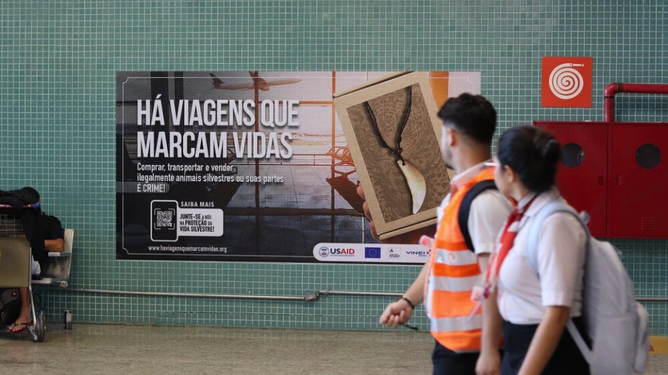 Leia mais sobre o artigo Aeroportos do AC aderem a campanha contra tráfico de animais silvestres