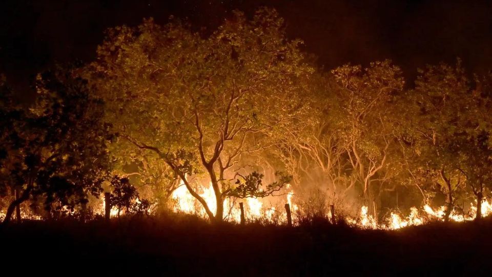 Leia mais sobre o artigo Focos de queimadas no Acre superam 2,3 mil em 15 dias de setembro