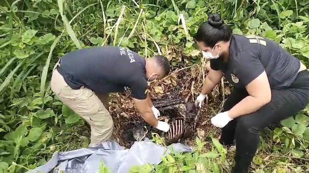 Leia mais sobre o artigo Corpo carbonizado é encontrado em Epitaciolândia