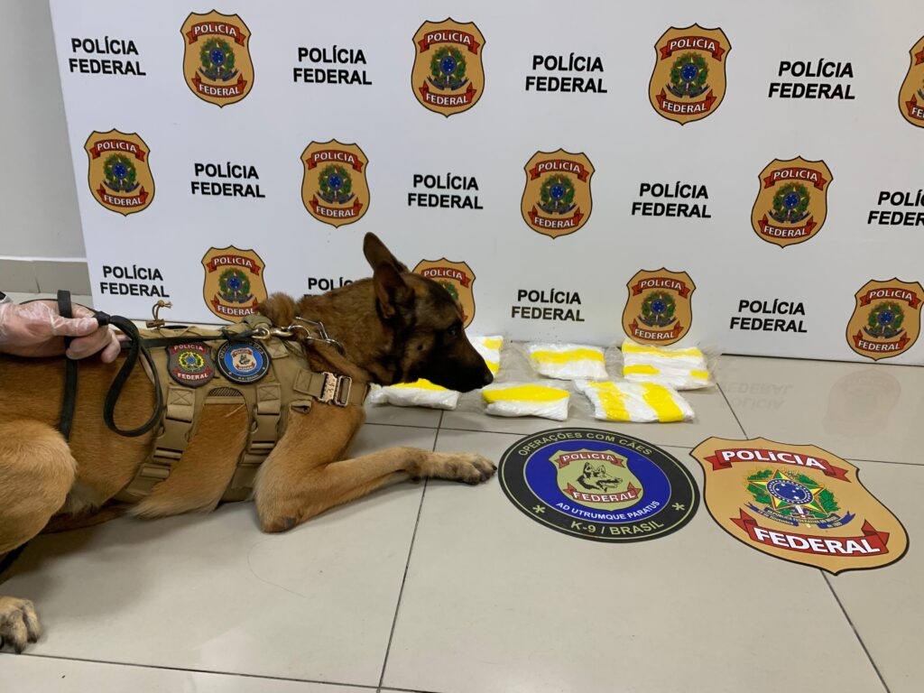 Leia mais sobre o artigo Polícia Civil do Acre e PF prendem mulher com cocaína em Fortaleza