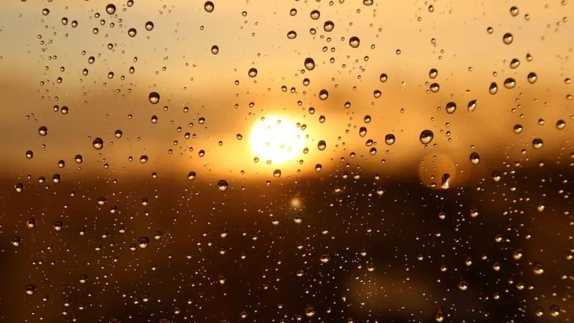 Leia mais sobre o artigo Sexta-feira será quente e com chance de chuva em todo o Acre