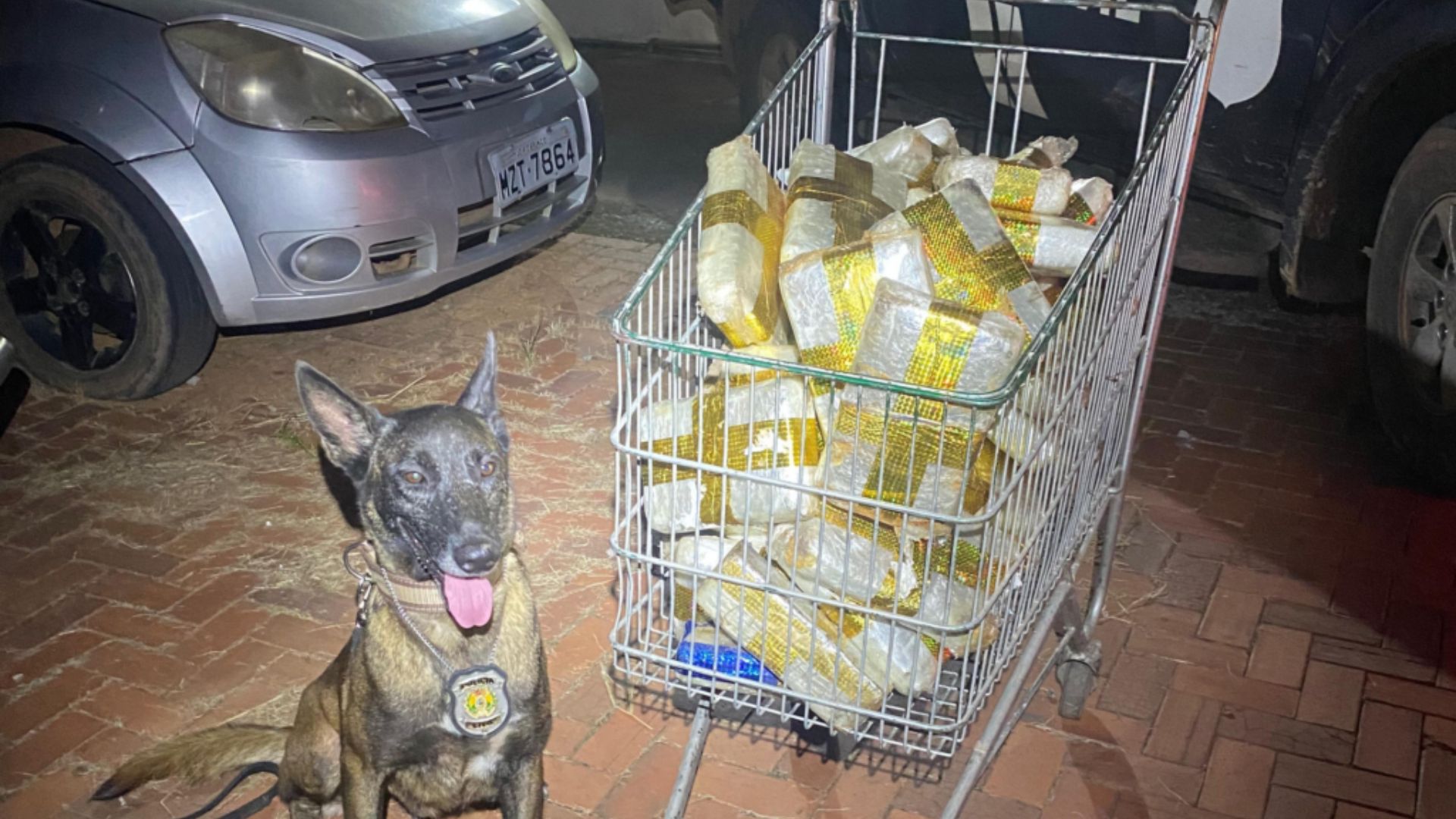 Leia mais sobre o artigo Polícia Civil apreende 50 kg de drogas em transportadora de Rio Branco