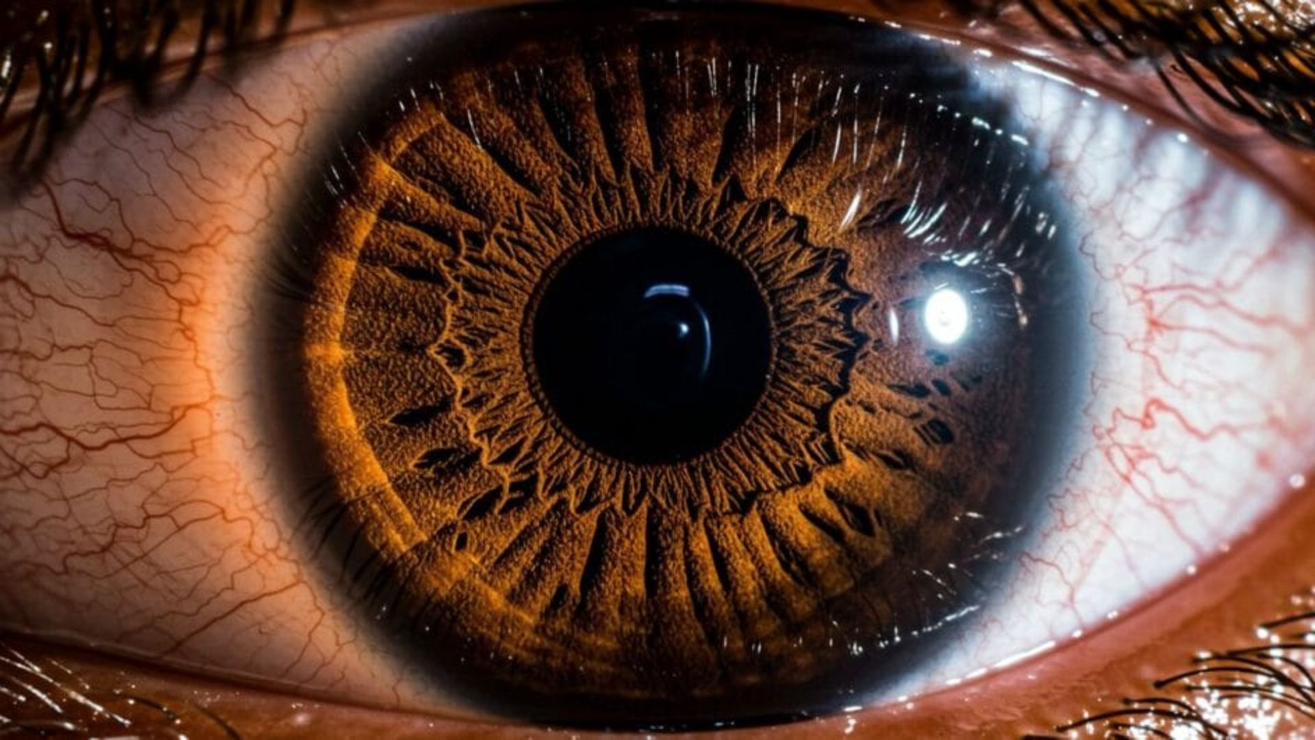 Leia mais sobre o artigo Alzheimer pode ser identificado nos olhos antes dos sinais de demência