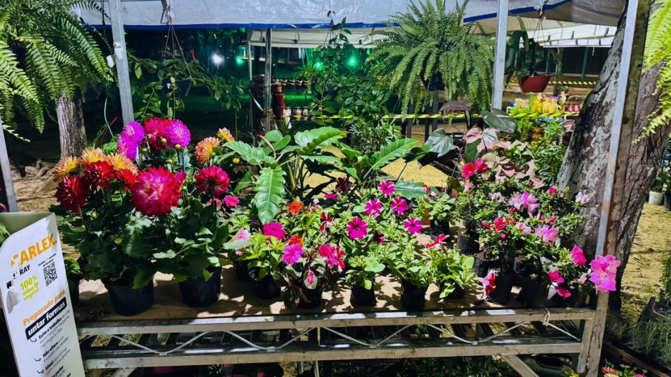 Leia mais sobre o artigo Ecoflores celebra 10 anos com expositores do Acre, Peru e Bolívia no Horto Florestal