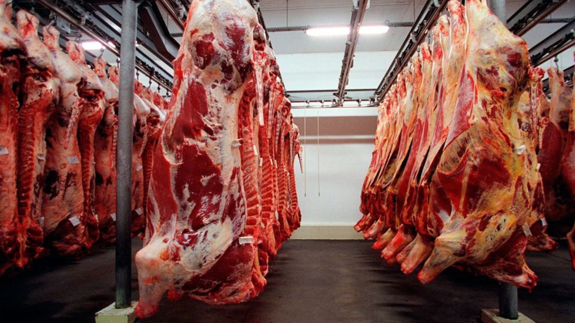 Leia mais sobre o artigo Pecuaristas dos EUA aplaudem tarifaço e querem banir carne do Brasil
