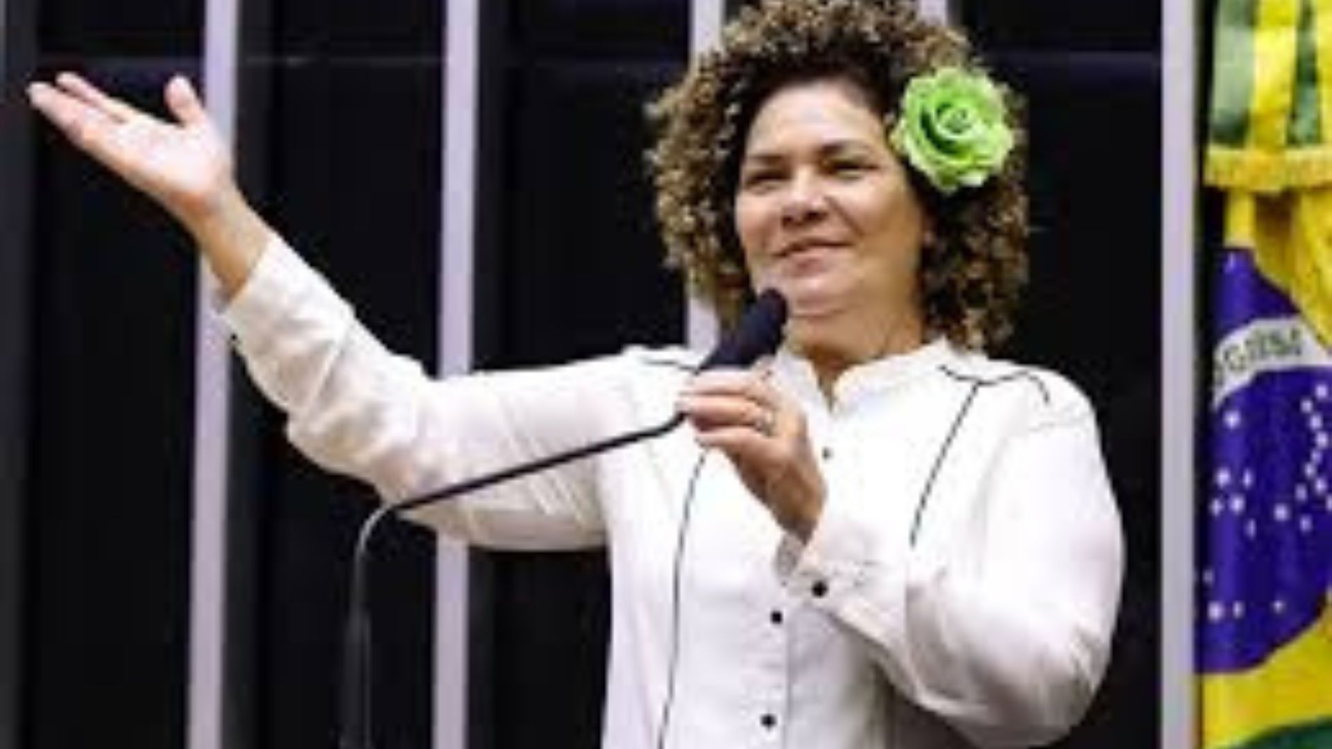Leia mais sobre o artigo ONG que recebeu verba de Perpétua Almeida é alvo da PF