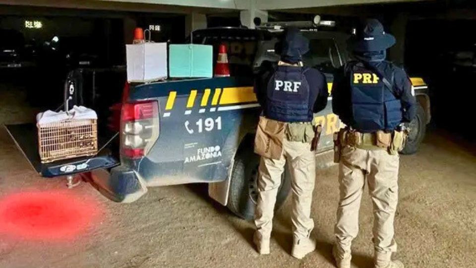 Leia mais sobre o artigo PRF intensifica ações no Acre e flagra drogas, crimes ambientais e foragido