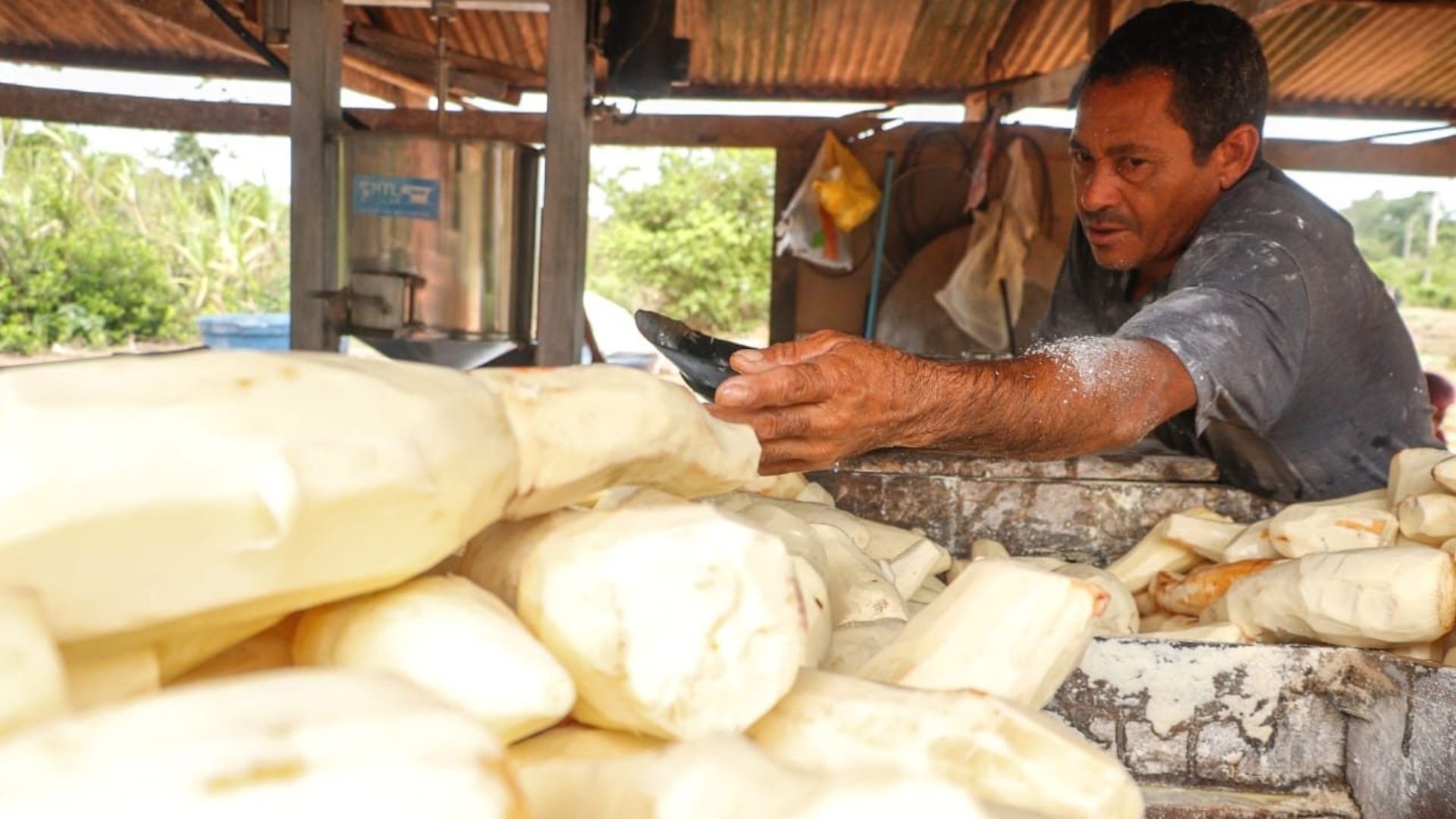 Leia mais sobre o artigo Prefeitura de Rio Branco finaliza preparativos para a 2ª edição do Festival da Macaxeira