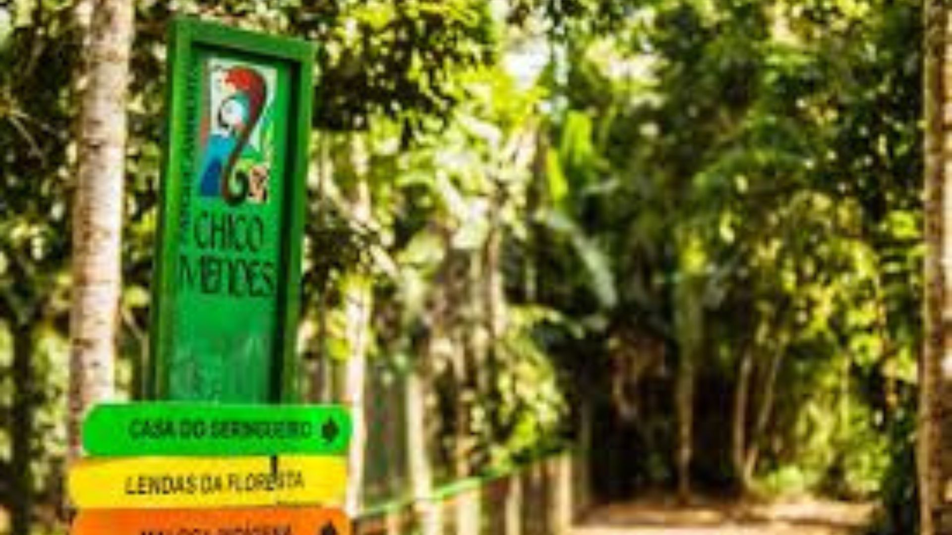 Leia mais sobre o artigo Parque Chico Mendes prepara programação especial para o Dia das Crianças