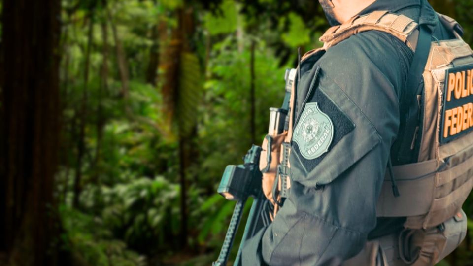 Leia mais sobre o artigo PF prende envolvidos em esquema de drogas na fronteira do Acre