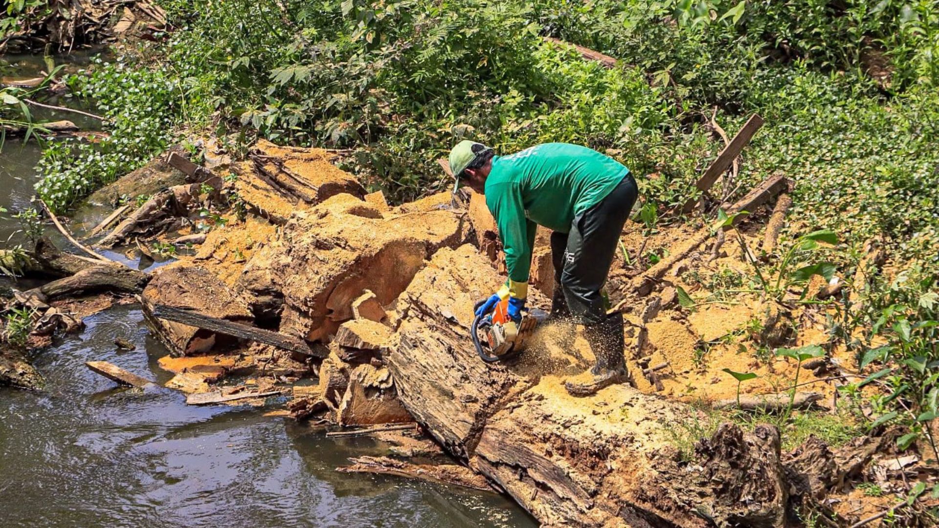 Leia mais sobre o artigo Rio Branco adota novas regras de licenciamento ambiental