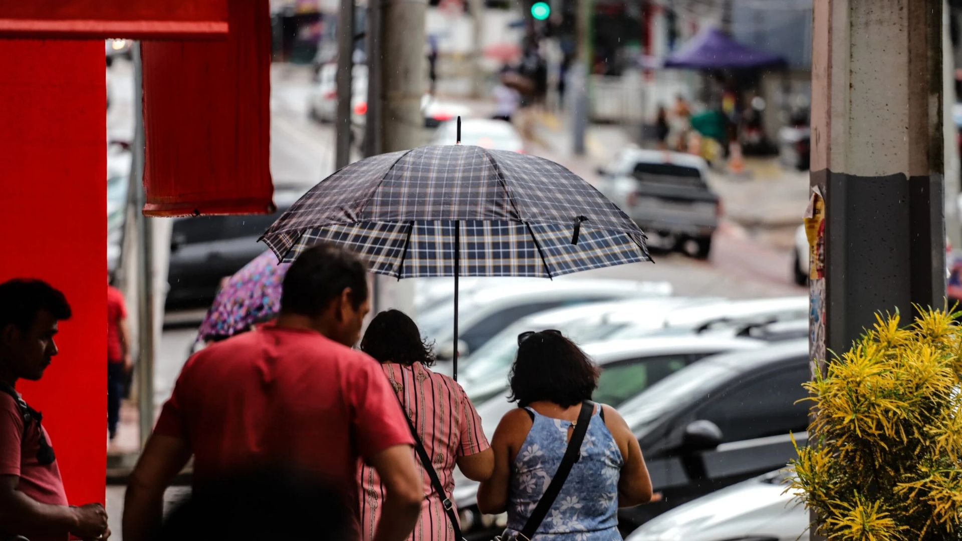 Leia mais sobre o artigo Acre registra novembro com chuvas muito abaixo da média e extremos de temperatura
