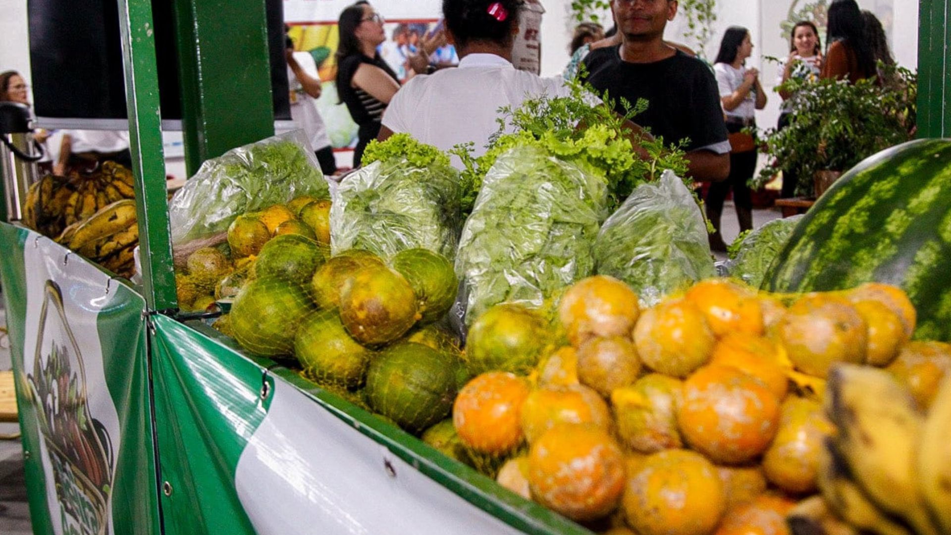 Leia mais sobre o artigo Governo abre chamada para compra de alimentos da agricultura familiar no Acre