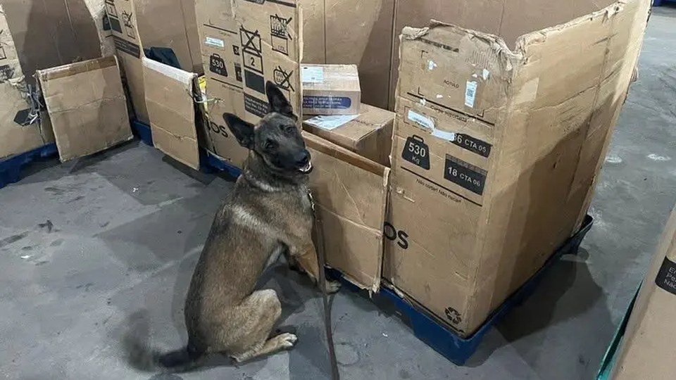 Leia mais sobre o artigo PF encontra 1,7 kg de skunk em encomenda declarada como rapadura no Acre