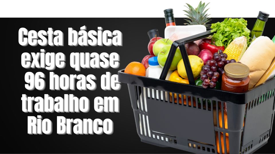 Leia mais sobre o artigo 