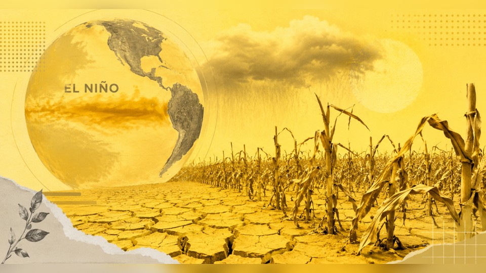 Leia mais sobre o artigo Governo anuncia R$ 1,3 bilhão para enfrentar possíveis efeitos do El Niño