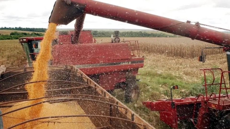 Leia mais sobre o artigo Agro, energia e varejo: saiba quais setores deverão ser impactados pelo El Niño