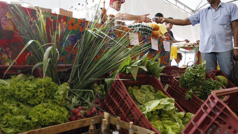 Decreto adia exigência de CNPJ para autônomos e produtores rurais