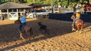 Prefeitura realiza primeira etapa do Circuito Municipal de Esportes Equestres em Rio Branco