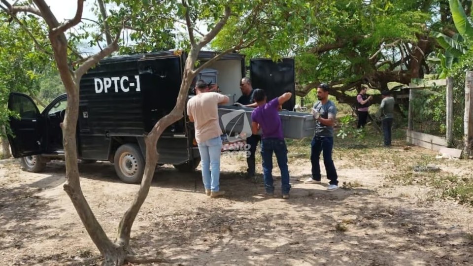 Leia mais sobre o artigo Mulher morre com tiro na cabeça e marido é preso no interior do Acre