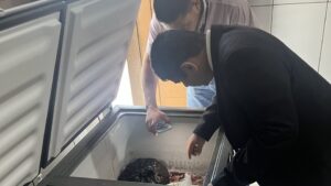 Mâncio Lima: Após fiscalização do MPAC, mais de 368 quilos de carne imprópria para consumo são apreendidos em escolas