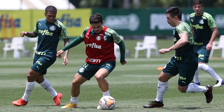 Leia mais sobre o artigo Com retorno de Veiga e Willian, Palmeiras inicia preparação visando Libertadores