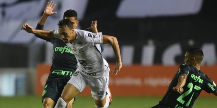 Leia mais sobre o artigo Em clássico movimentado, Santos e Palmeiras ficam no empate de 2 a 2